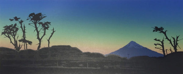 Old Pines & Pa Site - Coastal Taranaki